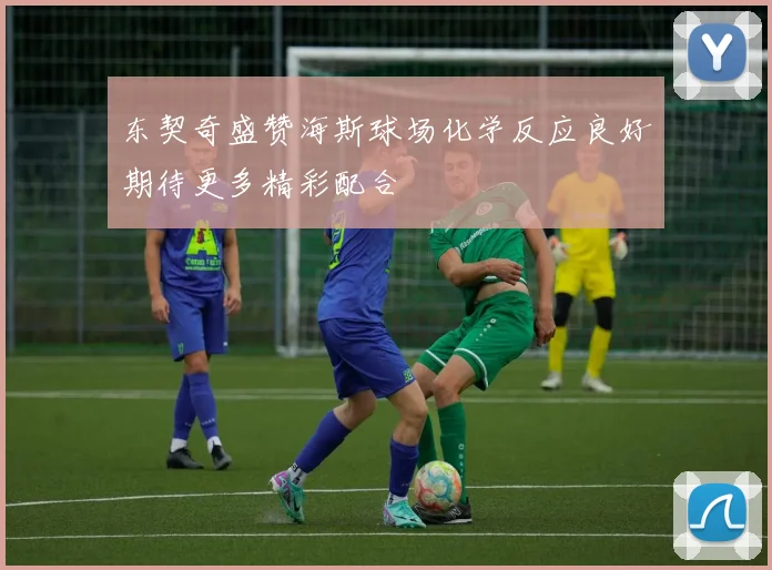 东契奇盛赞海斯球场化学反应良好期待更多精彩配合
