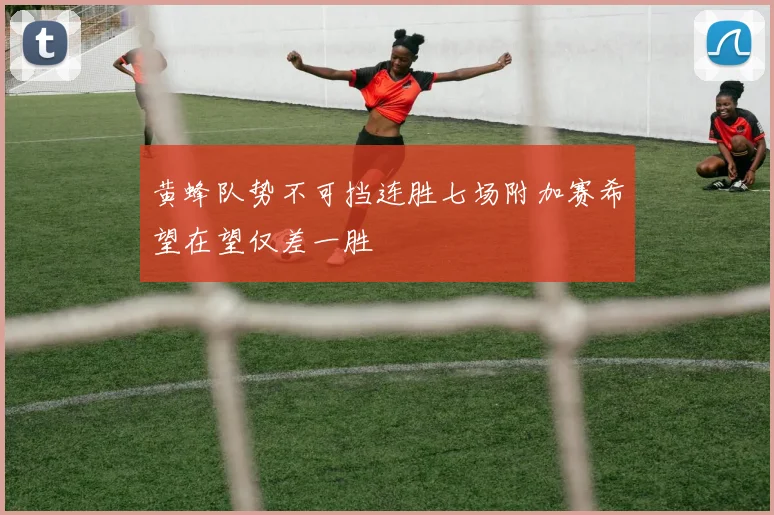 黄蜂队势不可挡连胜七场附加赛希望在望仅差一胜