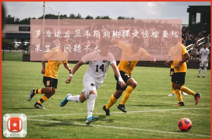 罗马边后卫韦斯利脚踝受伤检查结果显示问题不大