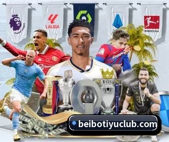 贝博体育 APP - BEIBOSPORTS